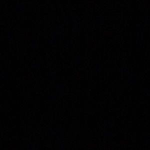 Meet your Posher, Donzel